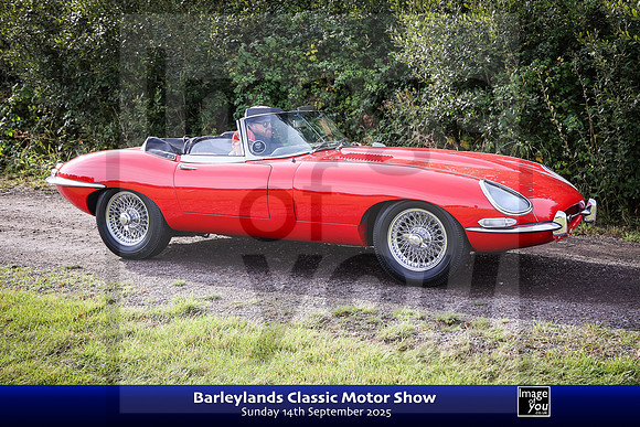 IMG_0429