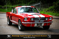Brooklands Mustang 2025