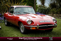 Magnificent Motors 2022