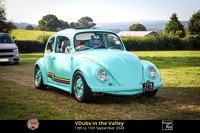 Vdubs in the Valley 2024