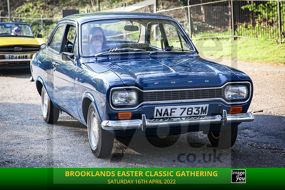 IMG_0290