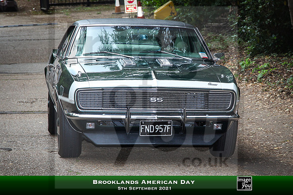 IMG_0587
