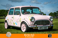 Mini Barn Bash 2019