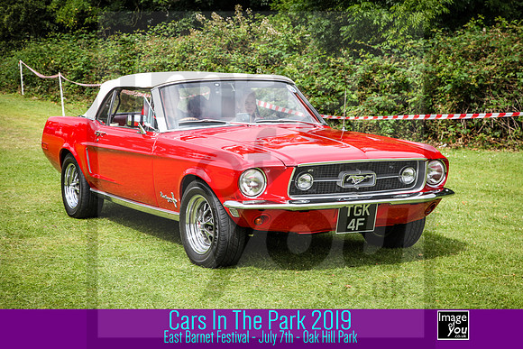 IMG_0293