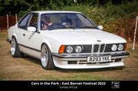 Cars in the Park 2022