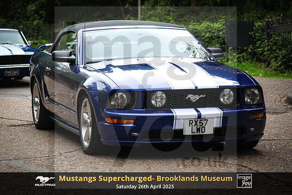IMG_0152