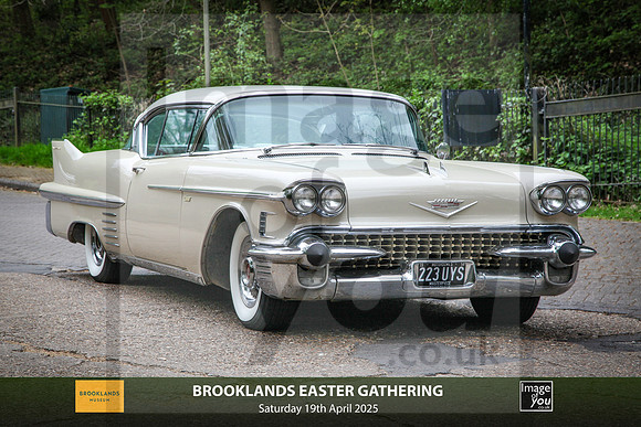 IMG_0246