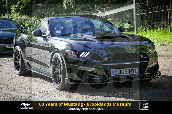 IMG_0533