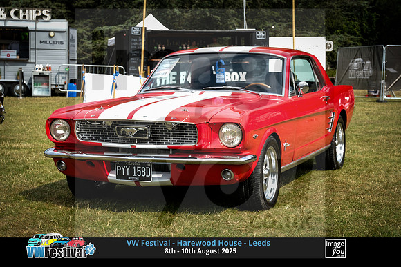 DSCF7895