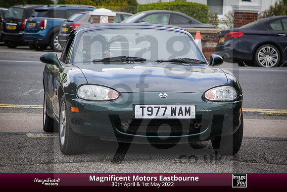 IMG_0106